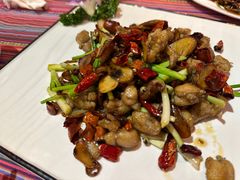 牛肝菌爆牛蛙-香巴拉云南餐厅(华莱坞店)