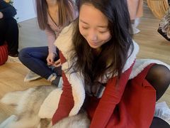 -Husky Go! 哈士奇体验馆·宠物咖啡厅狗咖