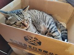 -正阳书局(西四南大街店)