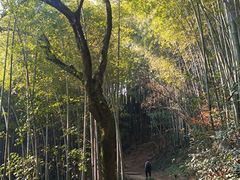 -西湖风景区十里琅珰-五云山