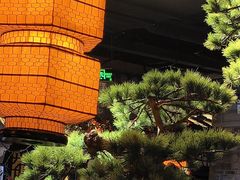 -绿茶餐厅(松江万达店)