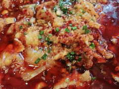 -紫光园·烤鸭·北京菜(劲松店)