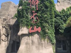 -北京动物园