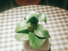 -竹犇番茄火锅(长风街店)