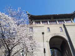 -武汉大学-樱园