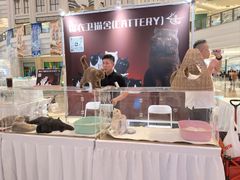 -江南环球港