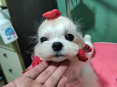 -宠颐生动物医院·小陆分院