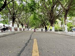 -广东花都湖国家湿地公园