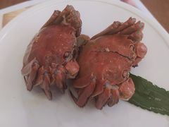 八年陈酒熟醉蟹-苏小柳手作点心(控江旭辉分院)