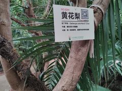 -呀路古热带植物园