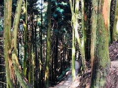 -井冈山风景名胜区