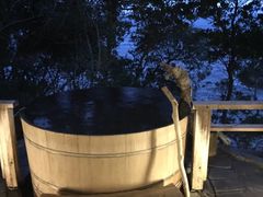 -滨千鸟之汤 海舟