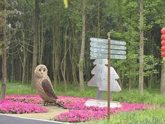 -东平国家森林公园