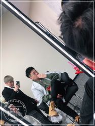 -IP SALON
