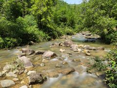 -广州白江湖森林公园