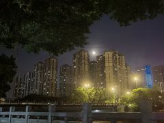 -光明港公园