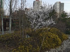 -大班家政月嫂育儿嫂(总部店)