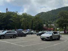 -武陵山森林公园