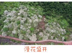 -舒家湾天主教堂