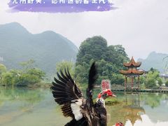 -靖西鹅泉风景区