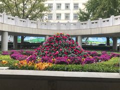 -北京协和医院(东单院区)