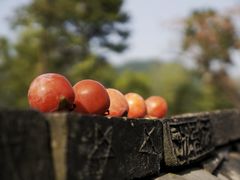 -丹山赤水风景名胜区