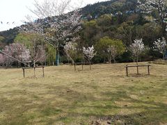 -龙寺生态园