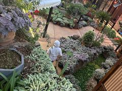 -山菌美食苑(振兴路店)