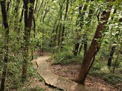 -上海佘山国家森林公园天马山园