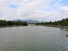 -飞来湖湿地公园