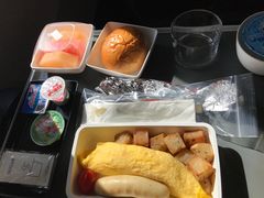 -新加坡航空公司(ION)