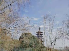 -上海方塔园