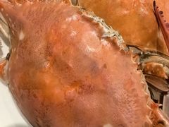 -北塘海鲜·天津菜·鲅鱼水饺是一绝(大光明桥旗舰店)