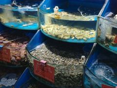 -北戴河庆山饭店·海鲜砂锅粥(北戴河黑石路店)