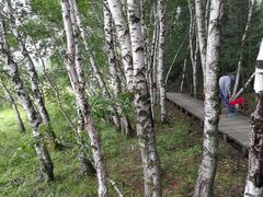 -塞罕坝国家级自然保护区