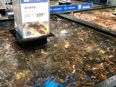 水产区-盒马鲜生(皇庭广场店)