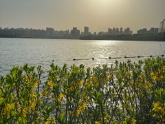 -天鹅湖体育公园