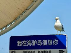 -海驴岛(荣成市)