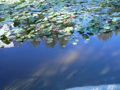 -郑州方特梦幻王国