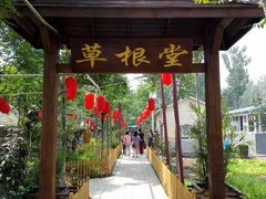 -草根堂农场