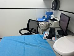 -萌兽医馆·绝育·24小时内科·宠物医院(德胜店)