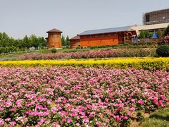 -君乐宝优致牧场