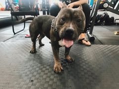 -FIGHTMAN格斗俱乐部(长宁临空店)
