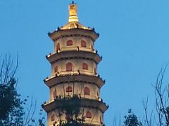 -味多美蛋糕(金顶街店)
