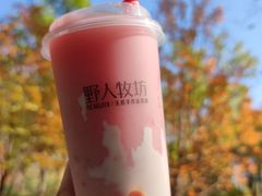 粉桃酪酪-野人先生现做冰淇淋(北京环宇荟店)