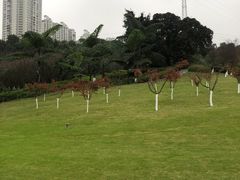-龙头寺公园