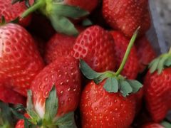 -新隆嘉供销超市(青岛瑞昌路店)