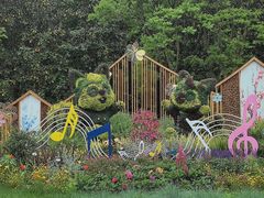 -上海共青森林公园