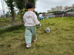 -菊园百果园