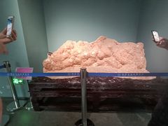 -湖南省地质博物馆